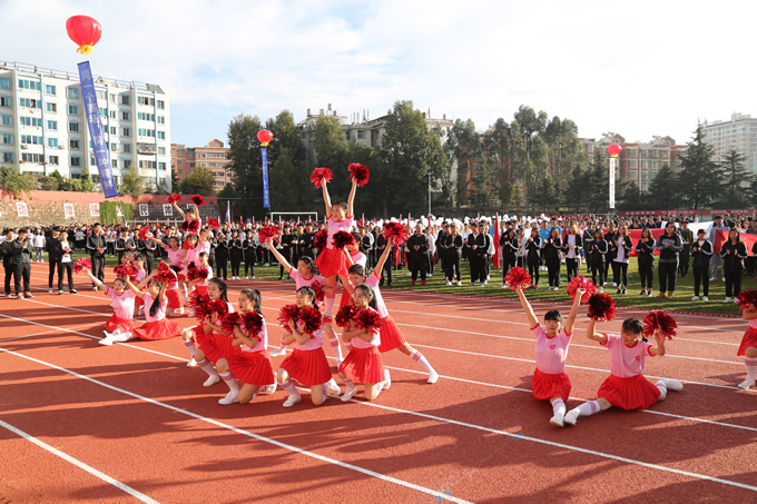 0Y8A6217.JPG 0Y8A6217.JPG