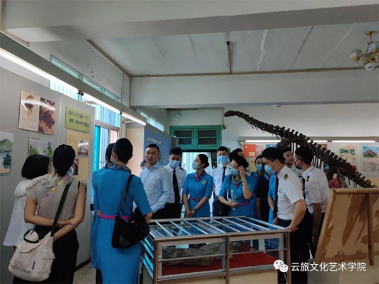 文化艺术学院与昆明航空客(1)338.png 文化艺术学院与昆明航空客(1)338.png