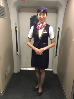 2021文化艺术学院空中乘务专业介绍1345.png 2021文化艺术学院空中乘务专业介绍1345.png