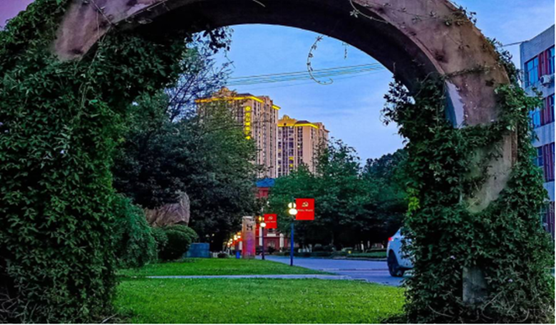 图片12.png 图片12.png