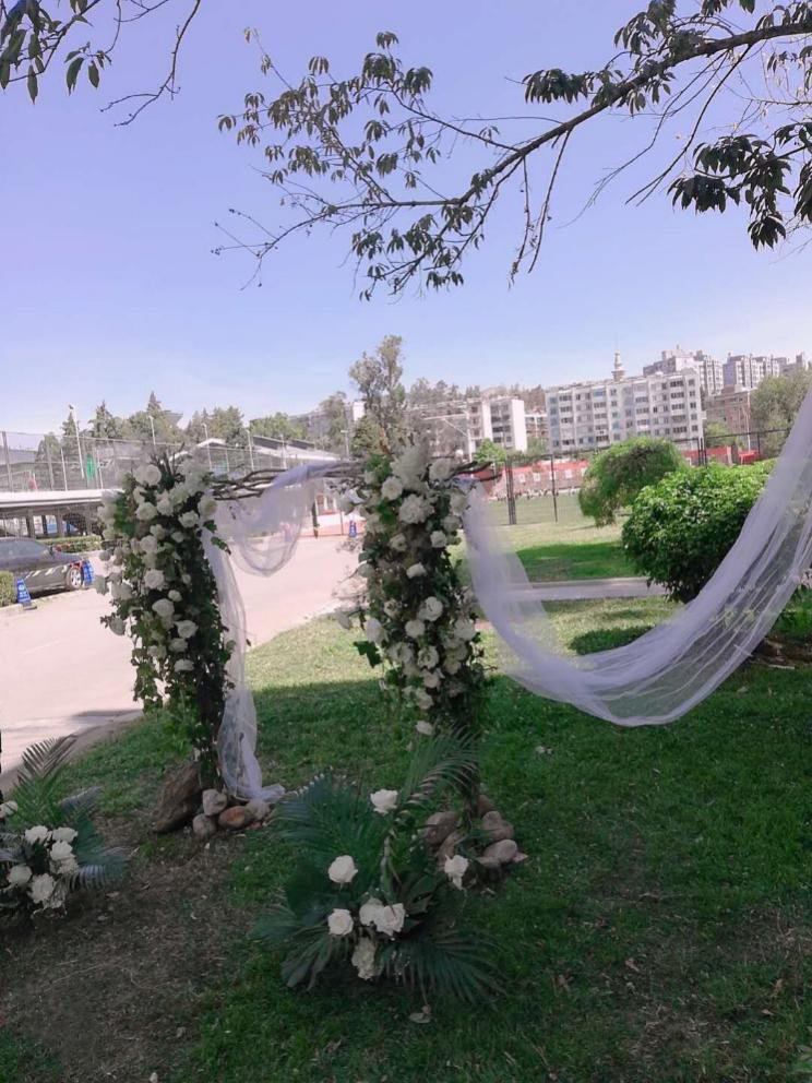 图片11.png 图片11.png