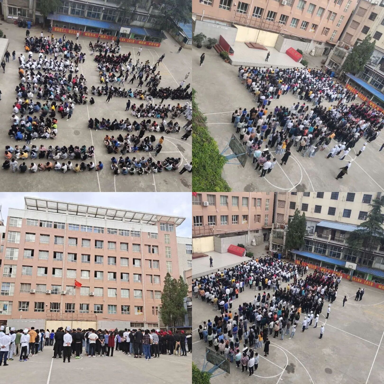 72C6D1DD1CAA2DD9CB1A1B5616809E14.jpg 72C6D1DD1CAA2DD9CB1A1B5616809E14.jpg