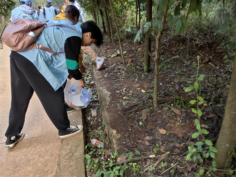 IMG_20211110_172544.jpg IMG_20211110_172544.jpg