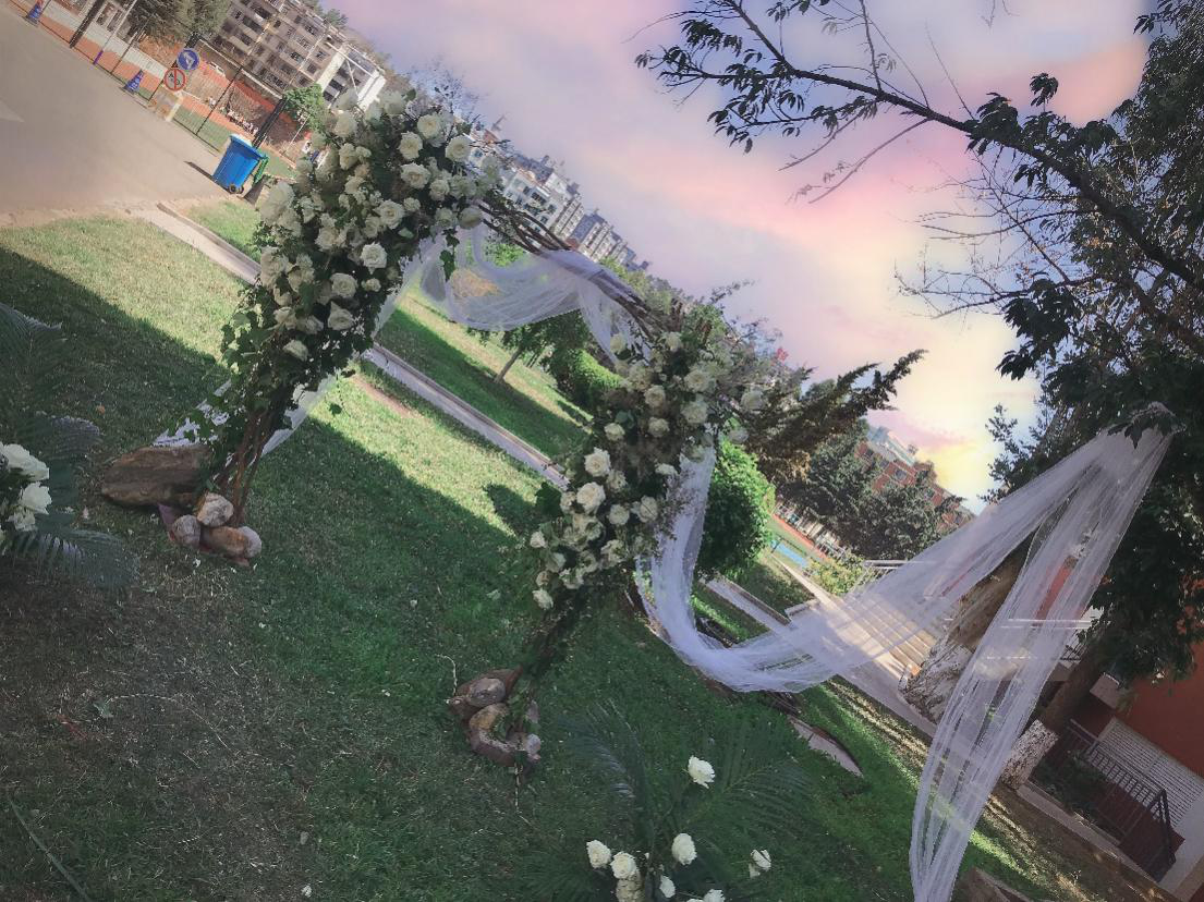 图片12.png 图片12.png