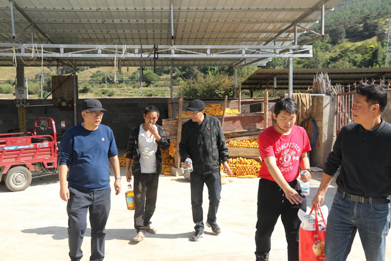 图片1.png 图片1.png