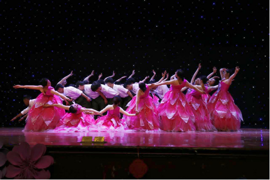 音乐教育专业介绍224.png 音乐教育专业介绍224.png