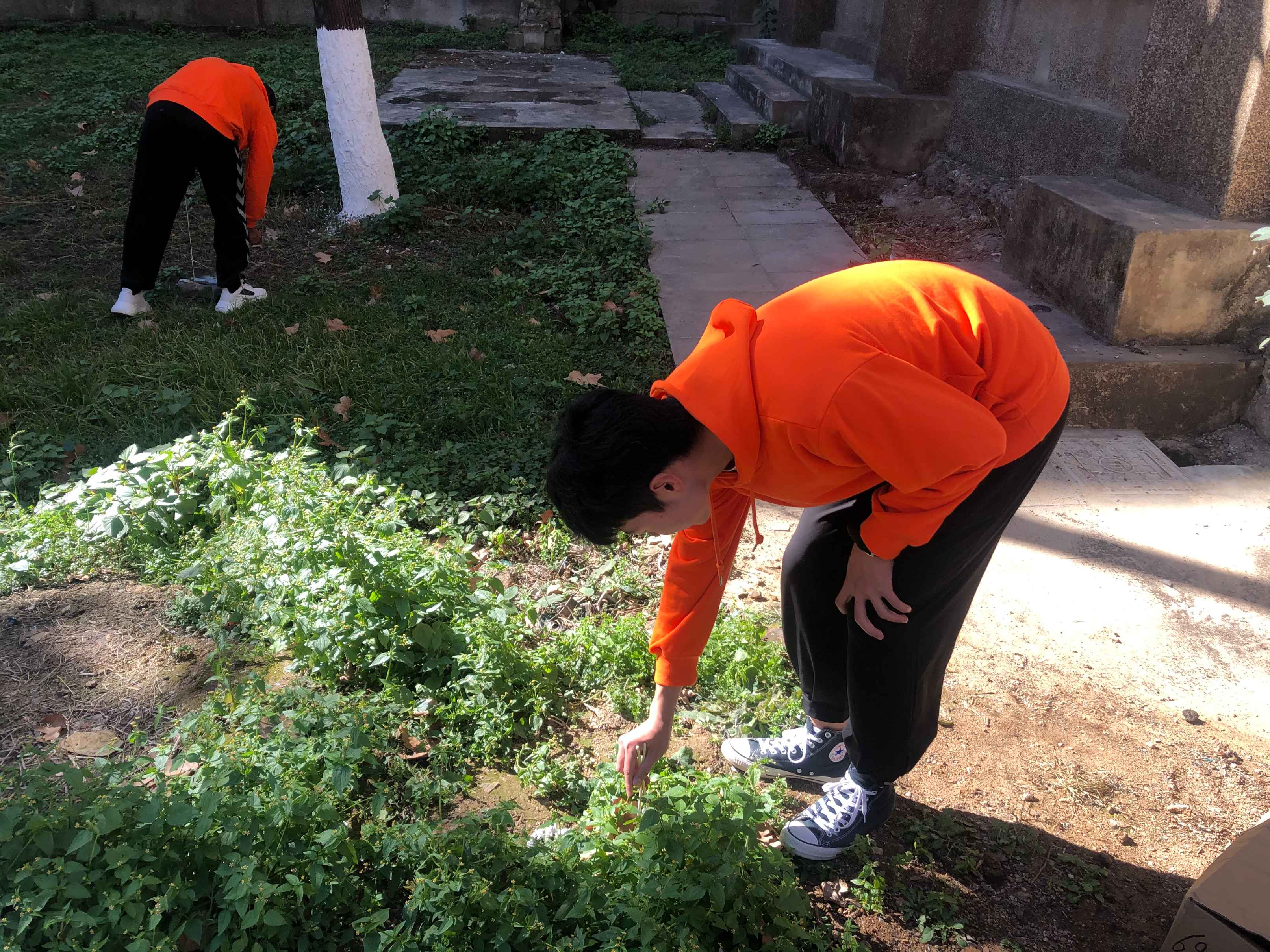 IMG_1211 (1).JPG IMG_1211 (1).JPG