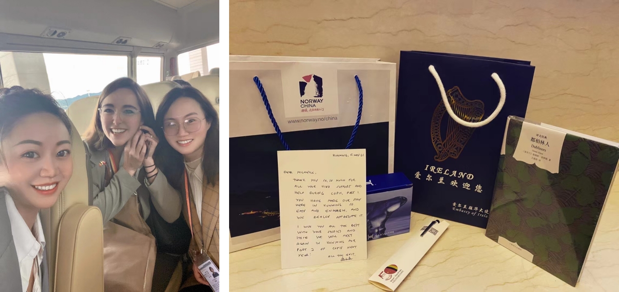 IMG_2841 8-side.jpg IMG_2841 8-side.jpg