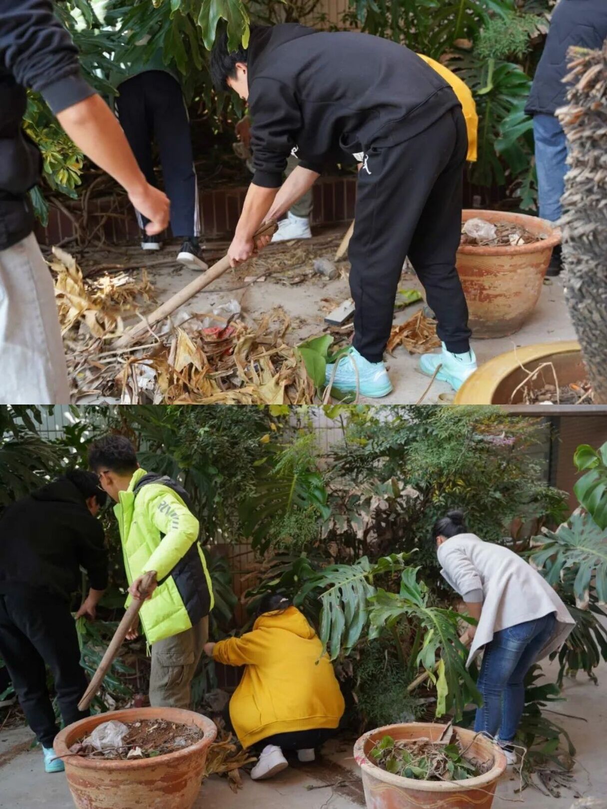 D21DEF8BEDAEDC91073E771314D9BE8E.jpg D21DEF8BEDAEDC91073E771314D9BE8E.jpg