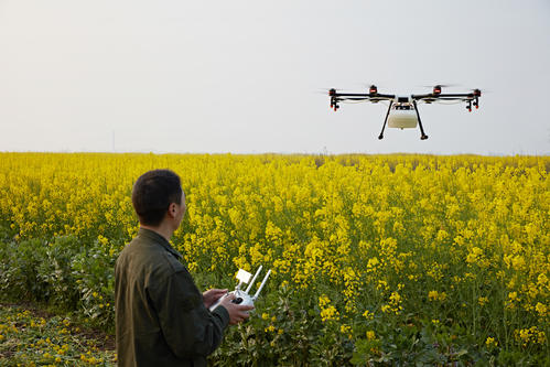 u=4160987361,2199023332&fm=26&gp=0.jpg u=4160987361,2199023332&fm=26&gp=0.jpg