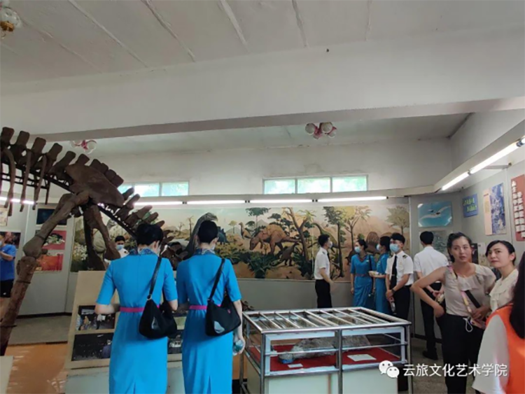 文化艺术学院与昆明航空客(1)339.png 文化艺术学院与昆明航空客(1)339.png