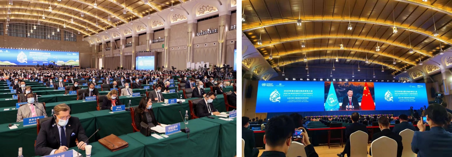 IMG_2838 3-side.jpg IMG_2838 3-side.jpg