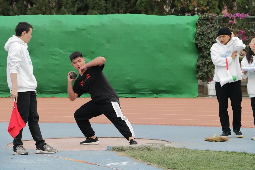 31.webp.jpg 31.webp.jpg